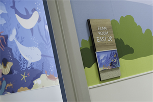 Custom Sign System and Wallcovering in Pediatric Office