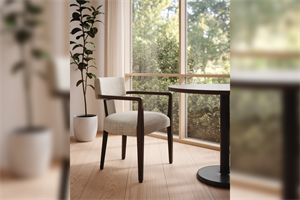 CAMBER CHAIR