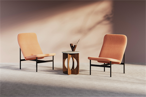 Avalon lounge chair and Tumble occasional table