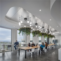 Circ T-3816 and vegetation kit