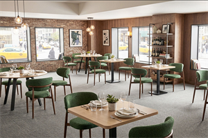 Woodlook aluminum chairs