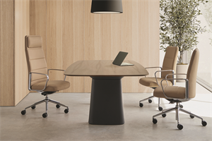 Zenpro executive chair and Essens table