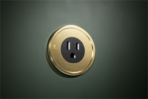 Juniper_Ground Control System_Single Power Outlet in Satin Brass