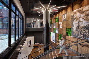 Gardens with Moss & Foliage