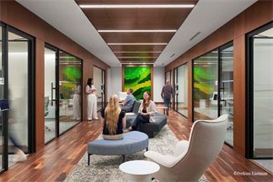 Gardens with Moss Combinations