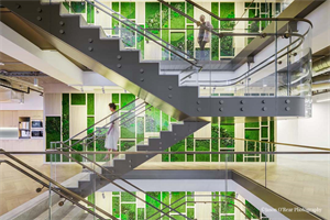 Gardens with Moss & Foliage