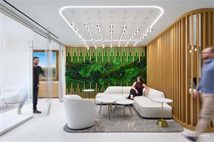 Gardens with Moss & Foliage