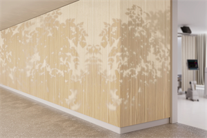 CECOCECO ArtMorph Elite