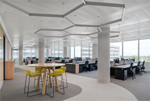 Lines Suspended by Fluxwerx