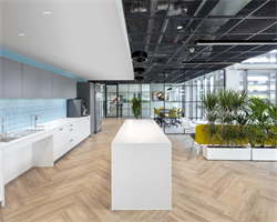 Speak Recessed, Portal Pendant, Profile Suspended by Fluxwerx